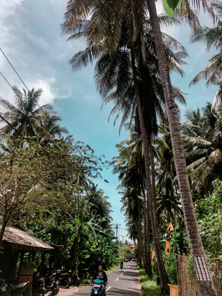 Bali