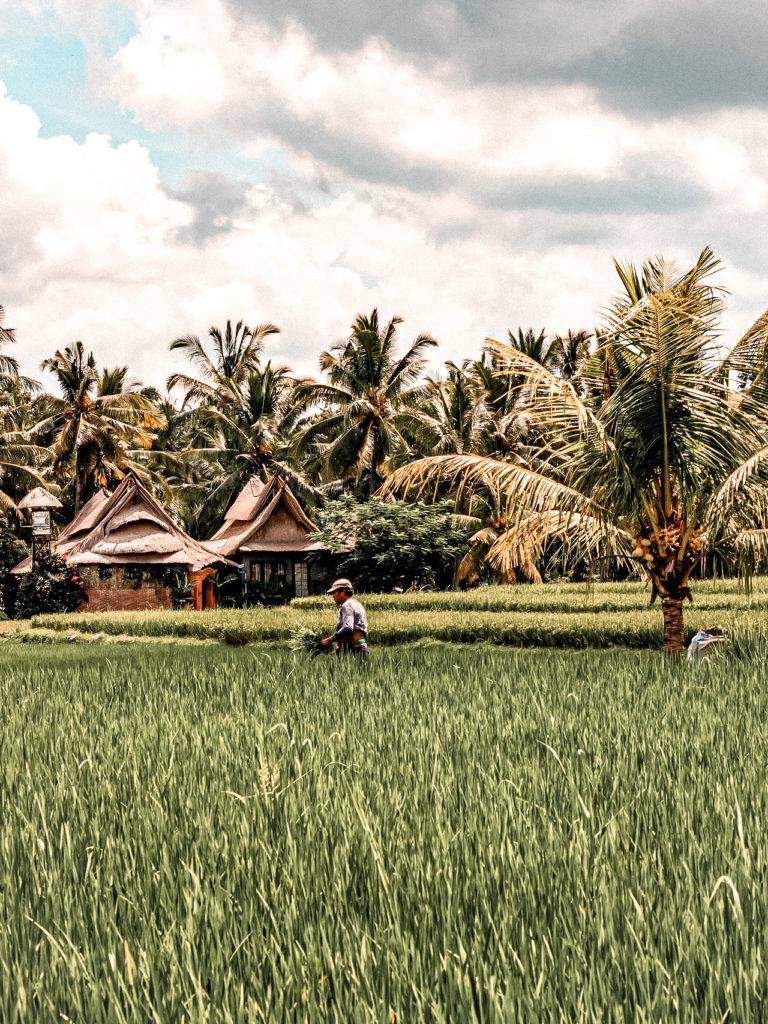 Bali