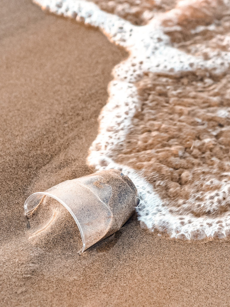 Beach Clean Up